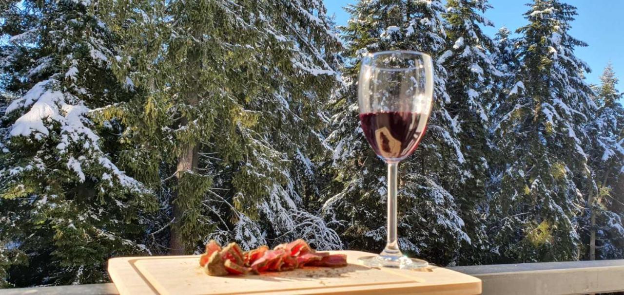 Fox Boutique Apartment Borovets Gardens Buitenkant foto