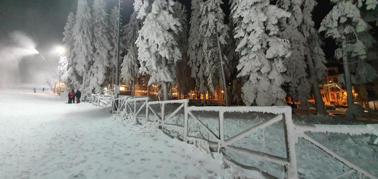 Fox Boutique Apartment Borovets Gardens Buitenkant foto