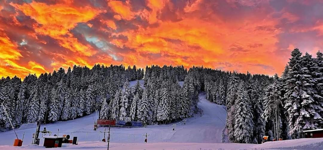 Fox Boutique Apartment Borovets Gardens Buitenkant foto